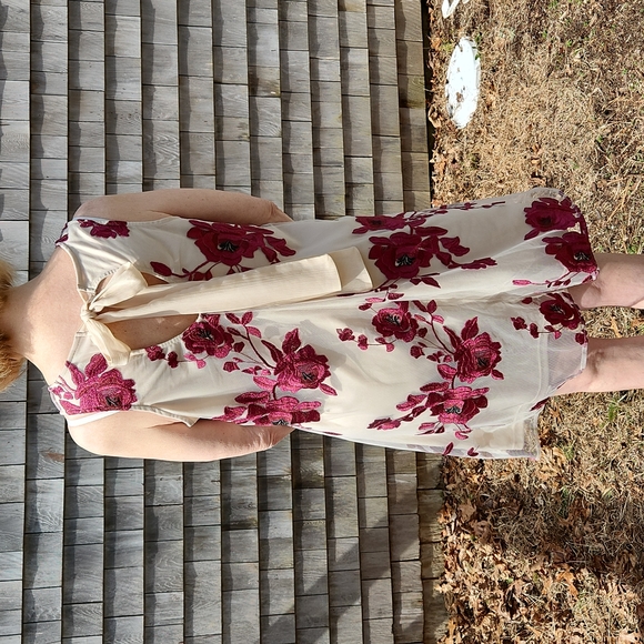 Beige by Eci, Swing Dress, Sm with embrodierd net of Maroon Roses and Leaves - Picture 3 of 6